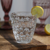 Pesca Drinking Glass Set Of 6